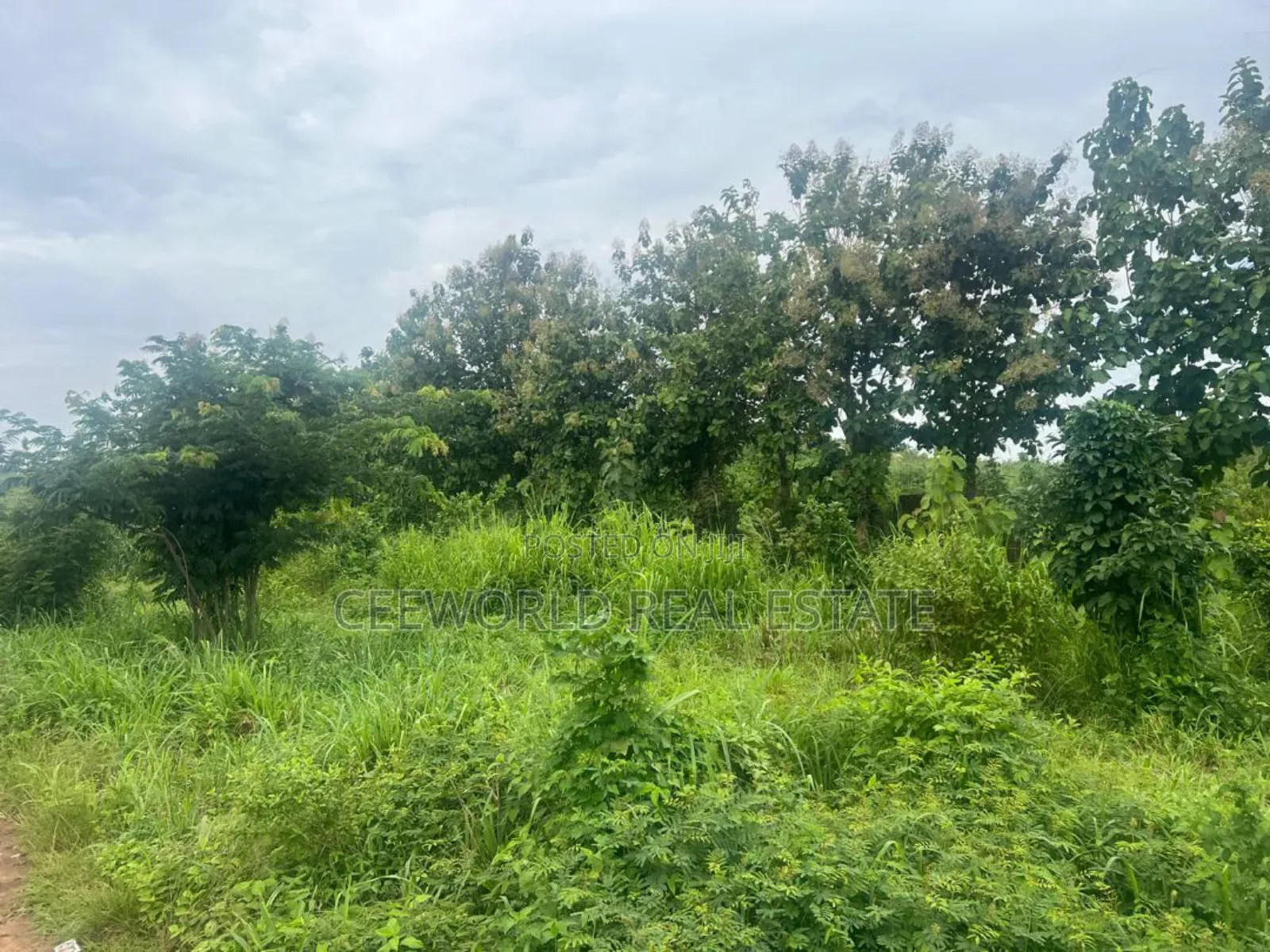 Over 33,602 SQM Available for Sale at Ajia Along Ife Expres