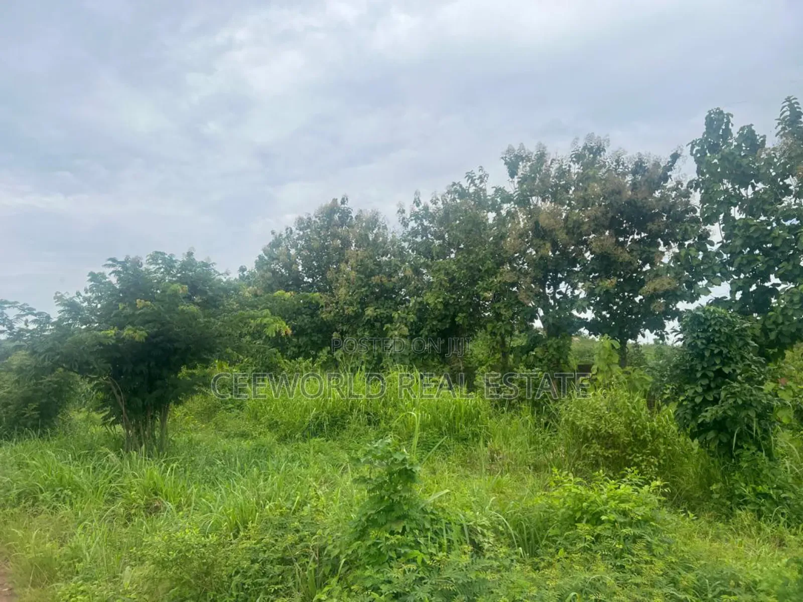 Over 33,602 SQM Available for Sale at Ajia Along Ife Expres