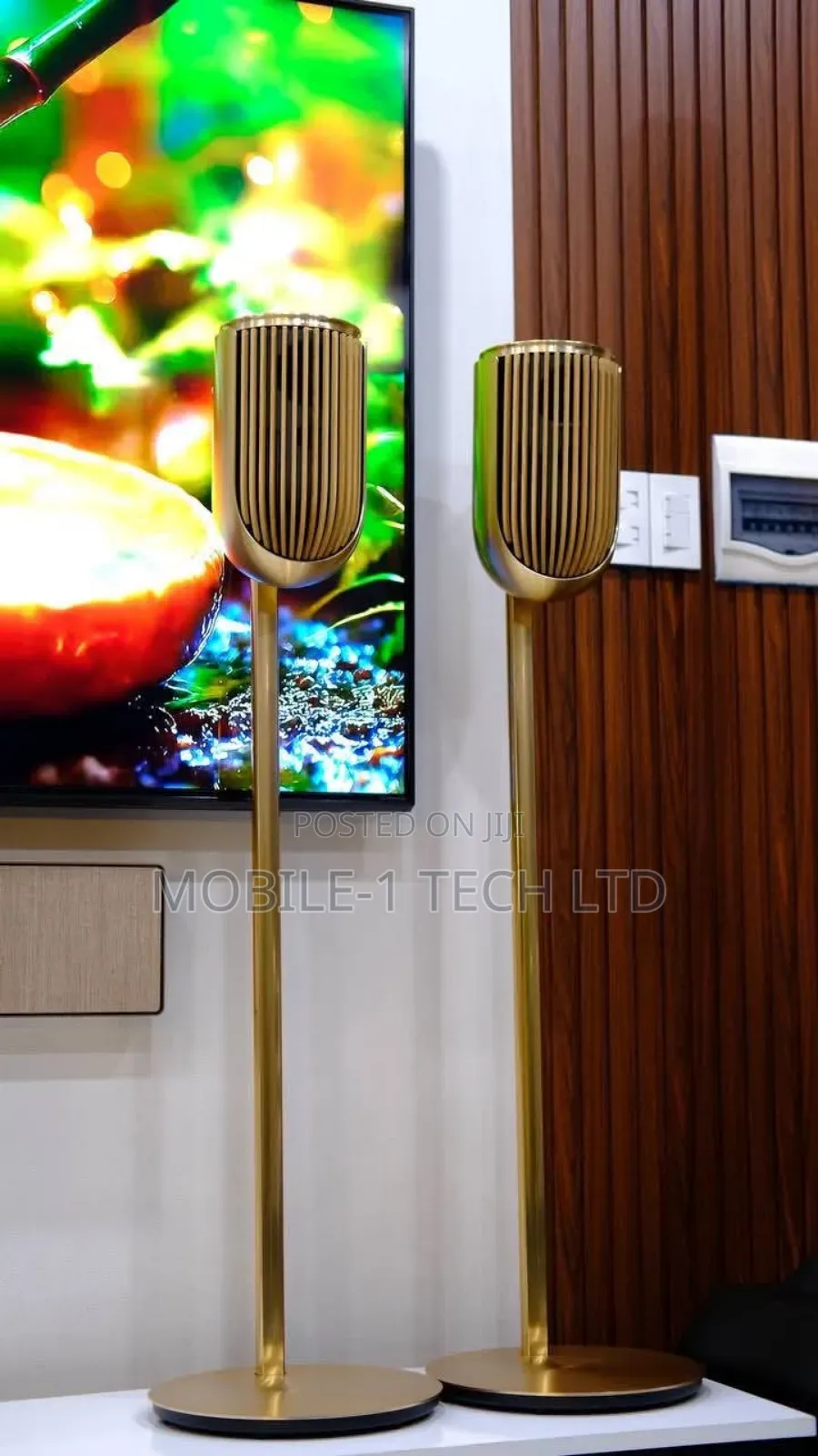 Bang and Olufsen Beolab 8 Ai Multi Room Luxury Speaker