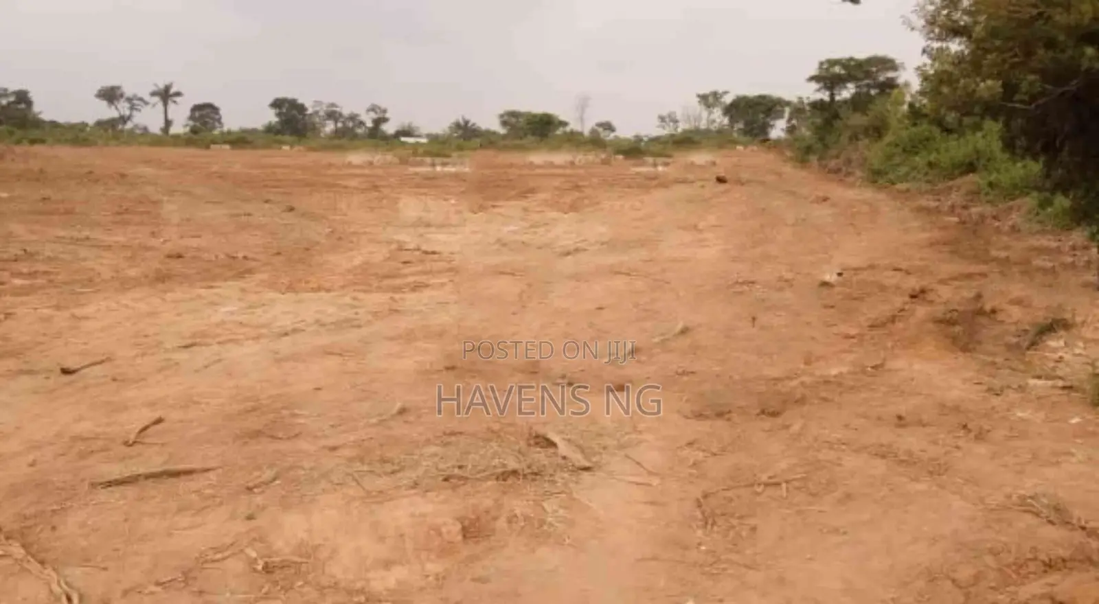 Strategically Located Half Plot With Federal Power