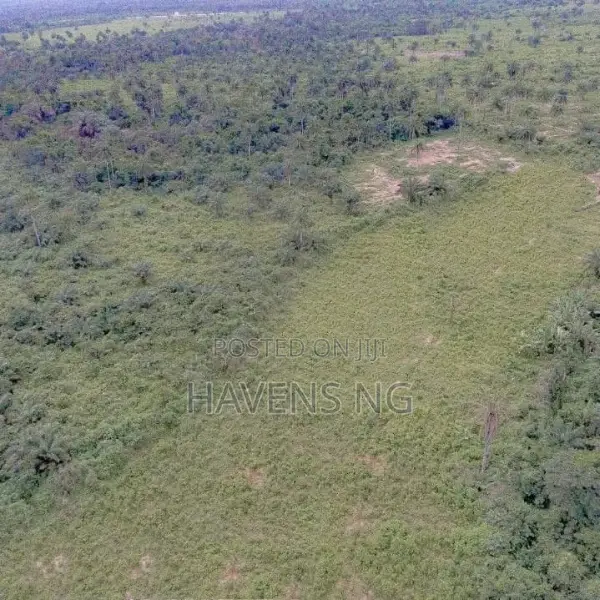 9.5 Plots of Land With Excellent Frontage