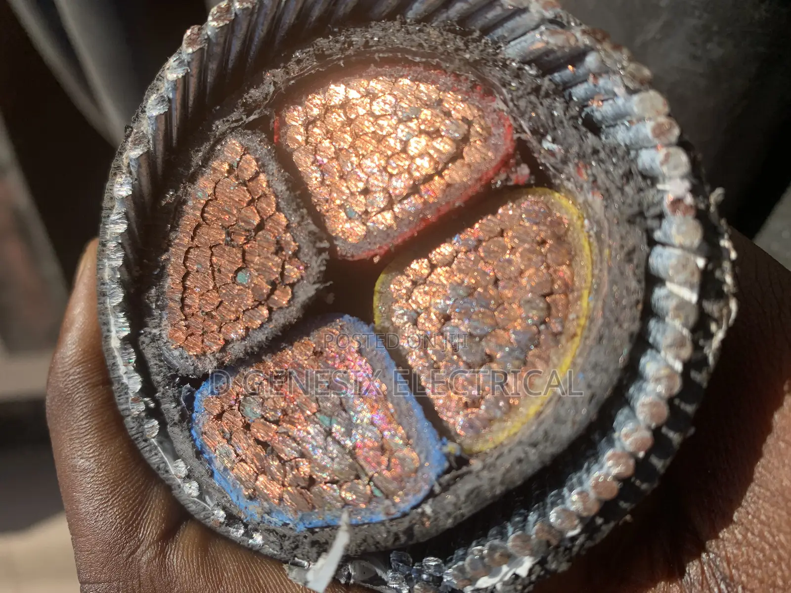 300mm 4 Core Armored Cable Coleman