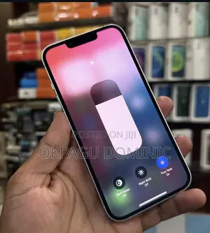 Apple iPhone 13 128 GB Gray