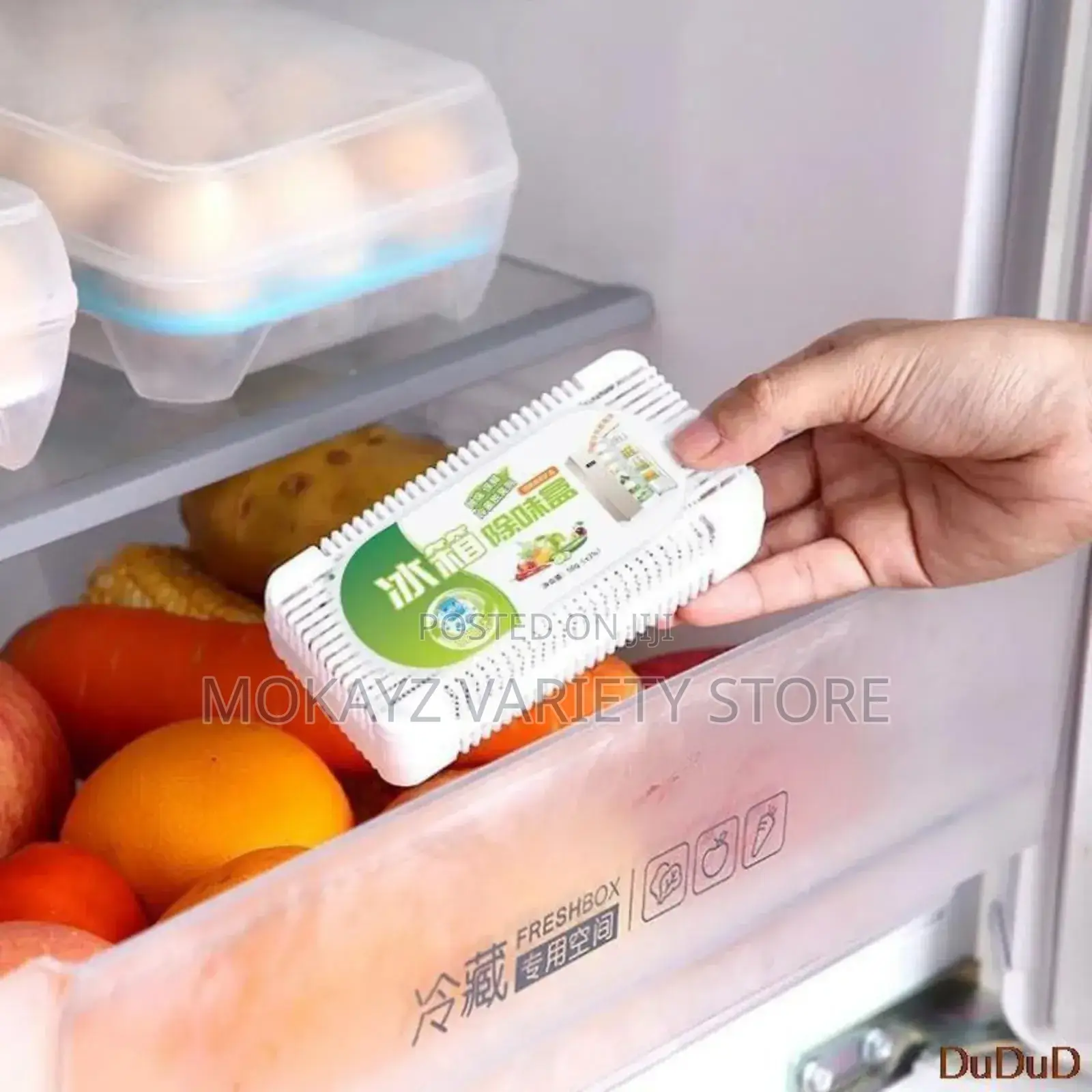Refrigerator Natural Deodoriser/Souvenir/Gift Item