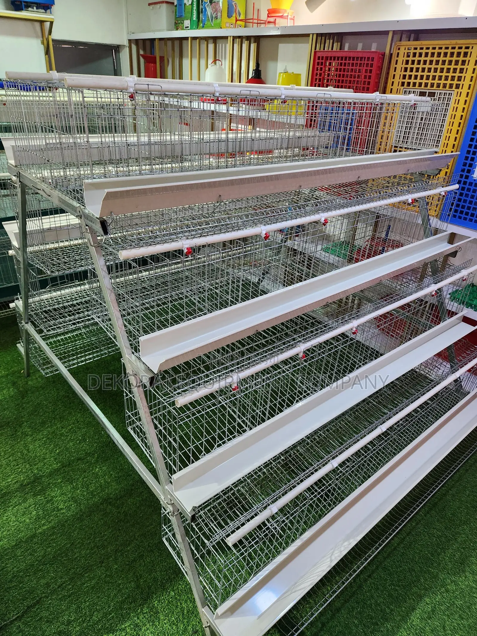 160 Birds Hot Dip Imported Cage For Poultry Farmers