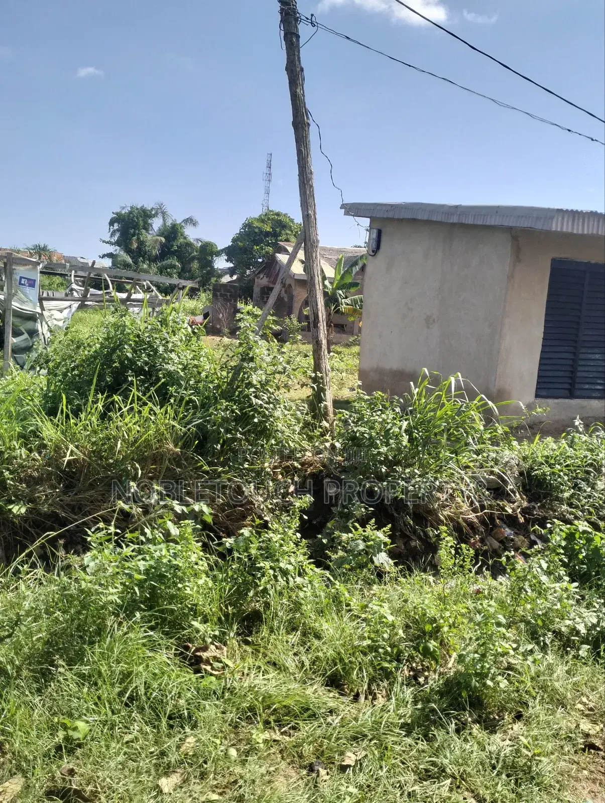 Full Plot of Land 100ft by 50ft at Ayobo, by Idowu Egba Lasu Igando Rd