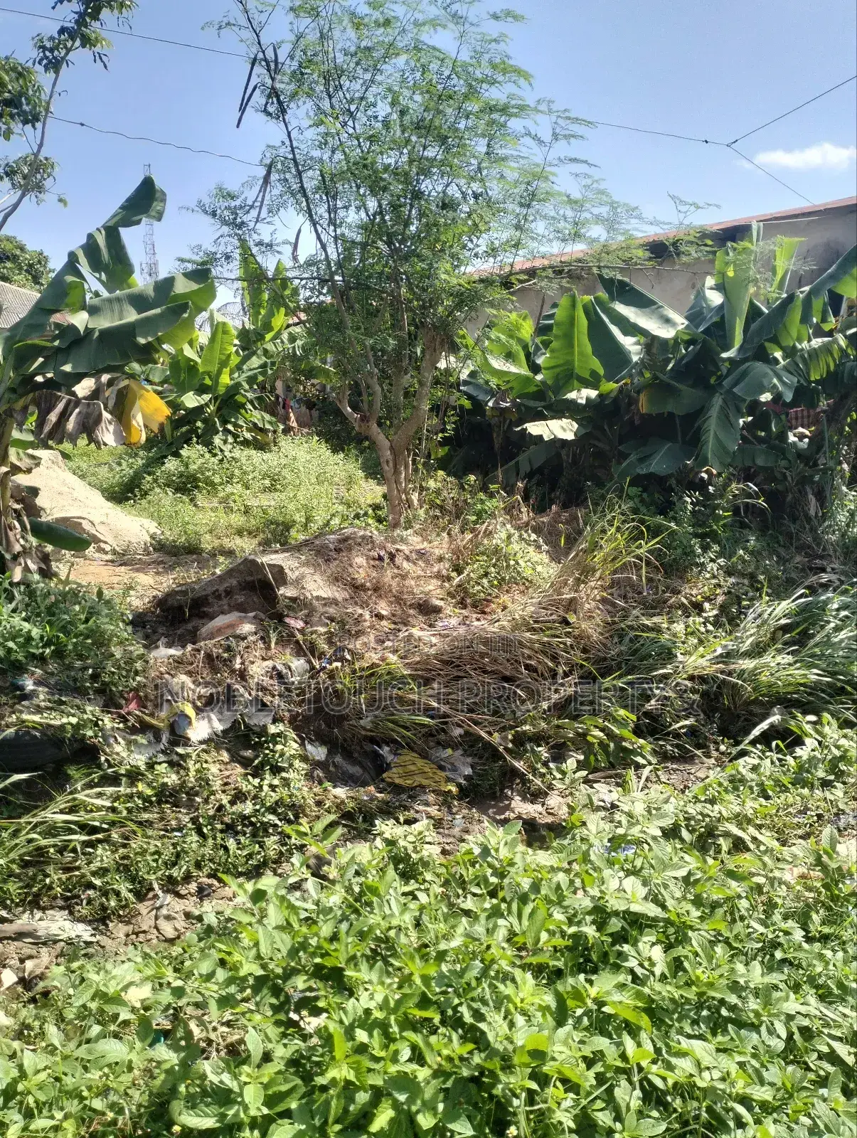 Full Plot of Land 100ft by 50ft at Ayobo, by Idowu Egba Lasu Igando Rd