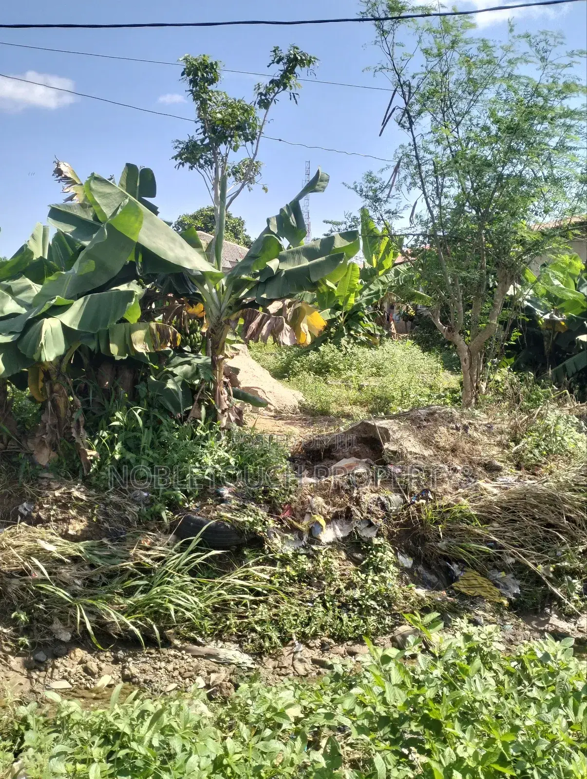 Full Plot of Land 100ft by 50ft at Ayobo, by Idowu Egba Lasu Igando Rd