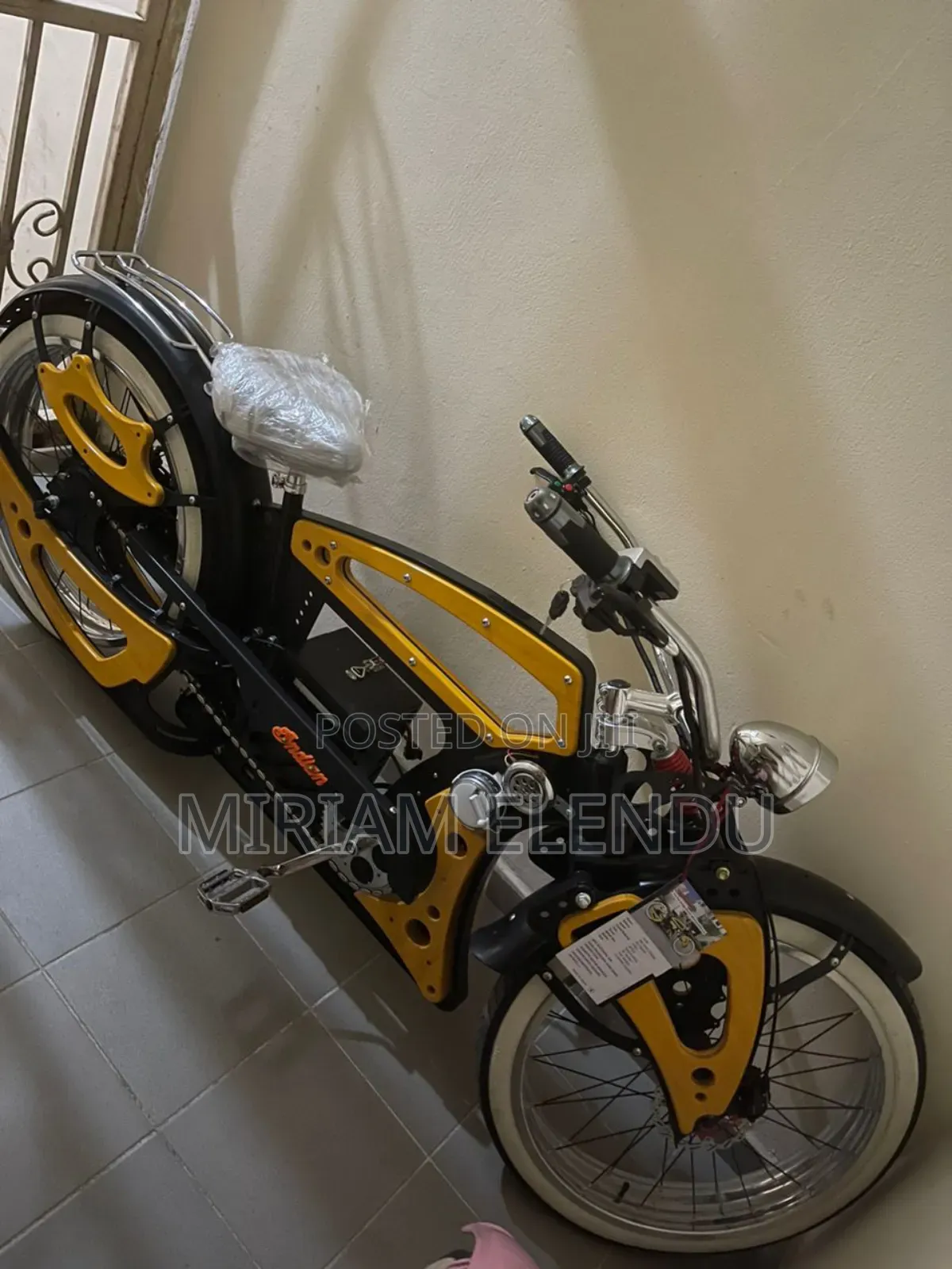 Fat Tyre Vintage Electronic Motorcycle/Bicycle