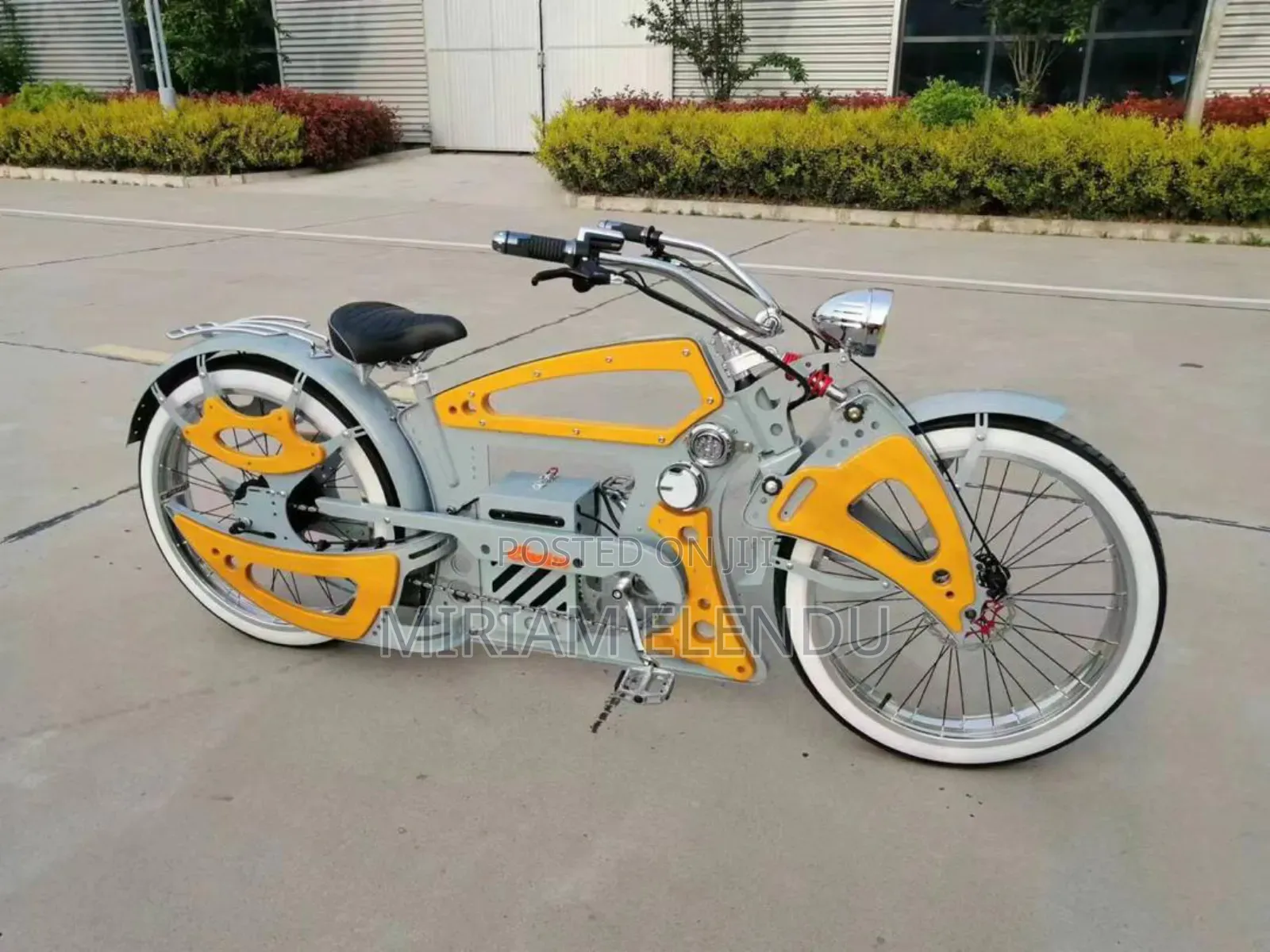 Fat Tyre Vintage Electronic Motorcycle/Bicycle