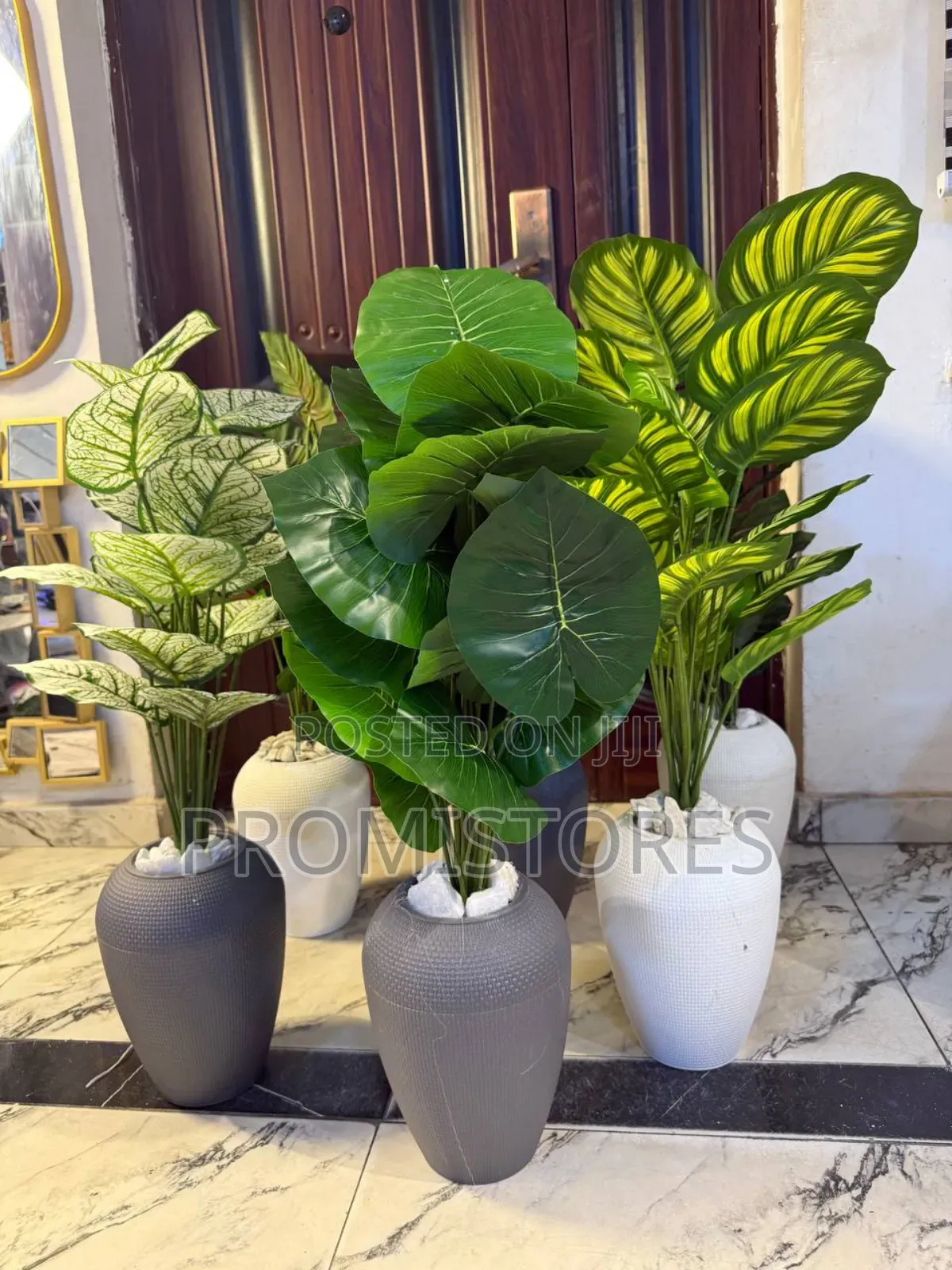 Oval Potted Plant With Stone 82cm