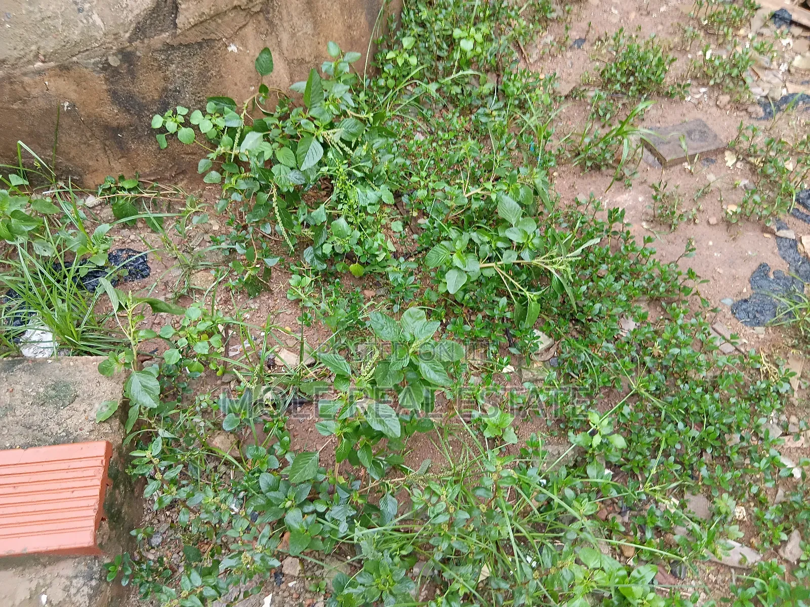 2 Plots Cornerpiece Facing Egbeda Bustop