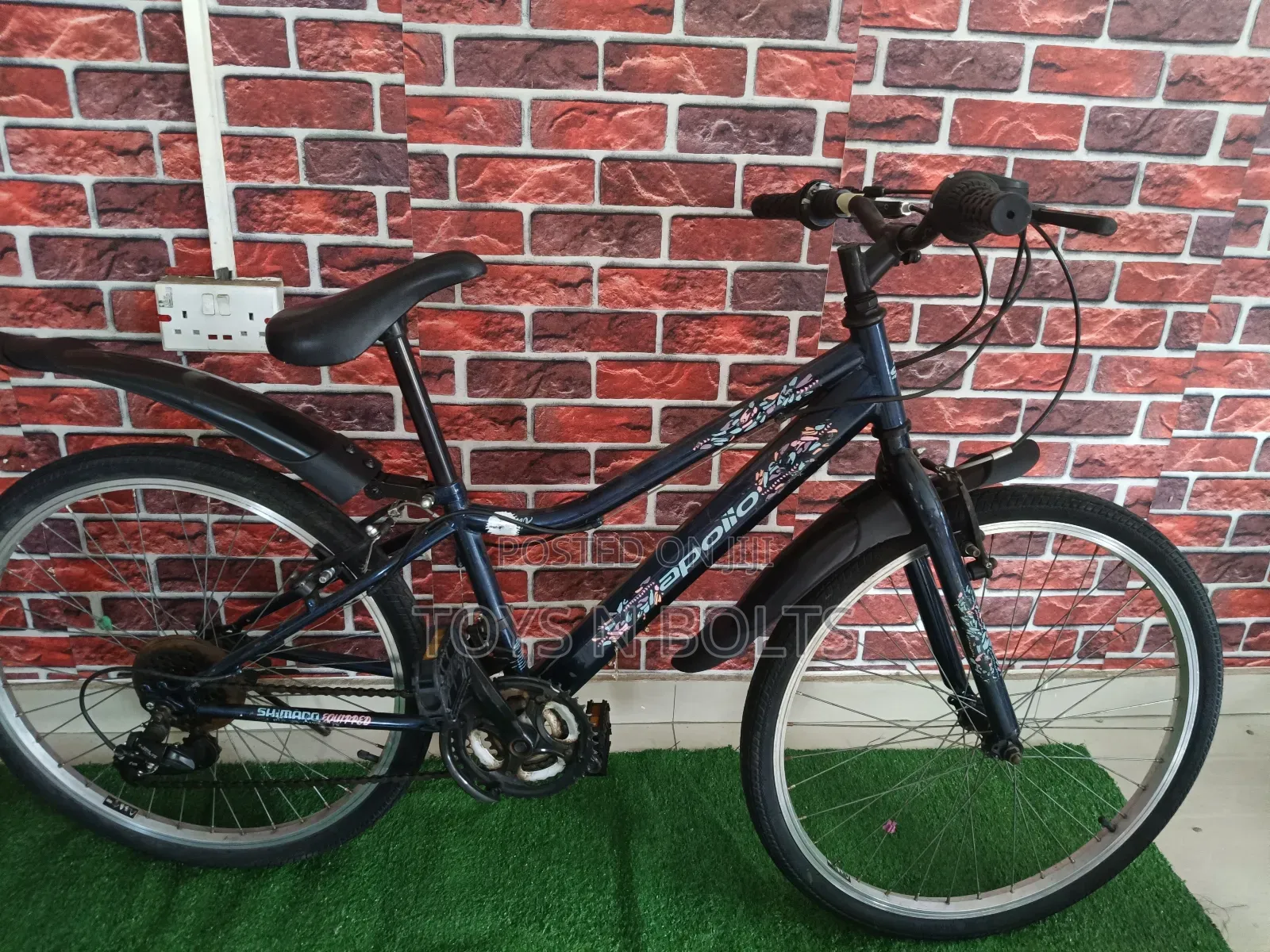 Adult Bicycle Size 24 Apollo
