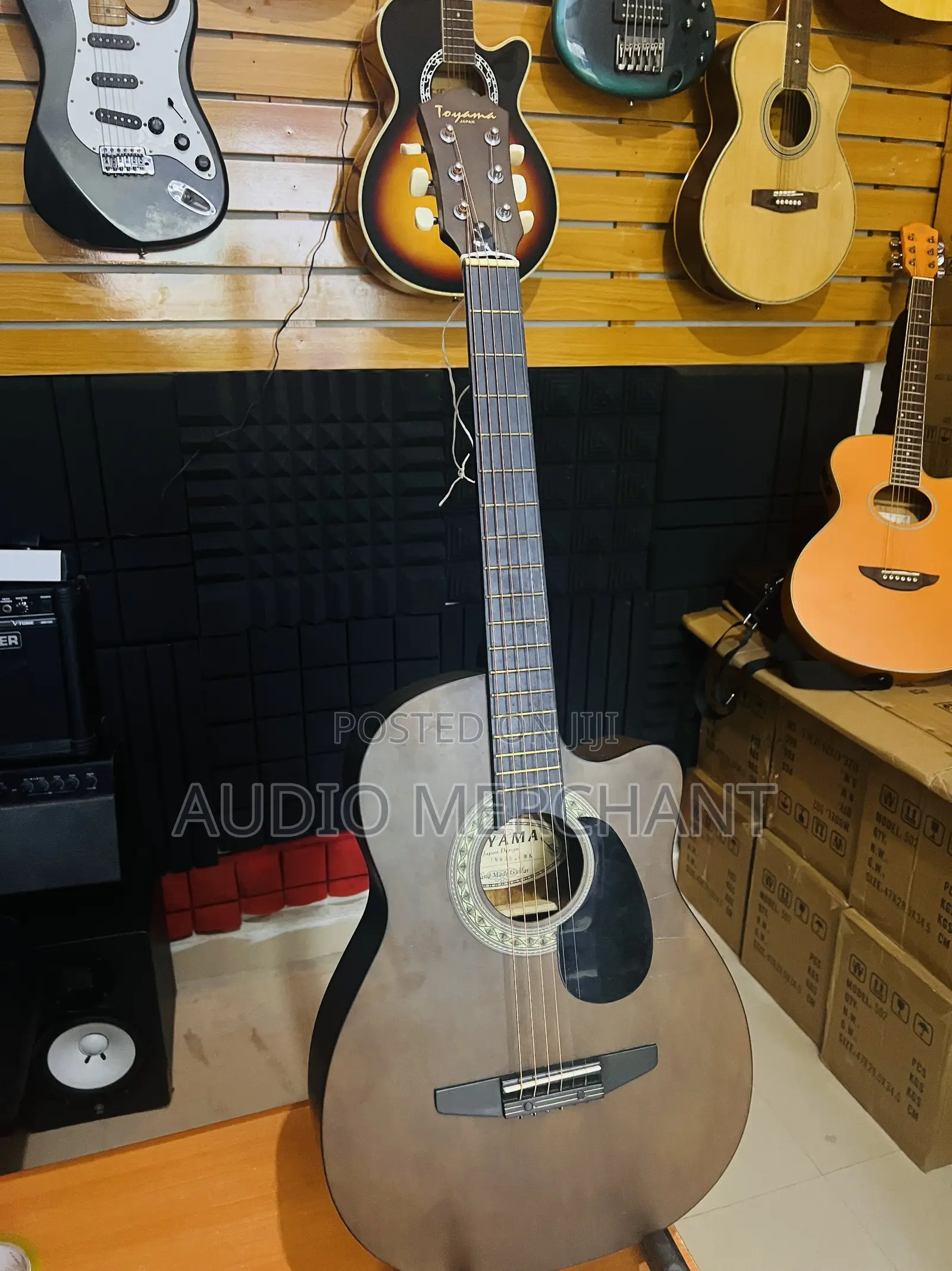 Acoustic Guitar Chocolate Color