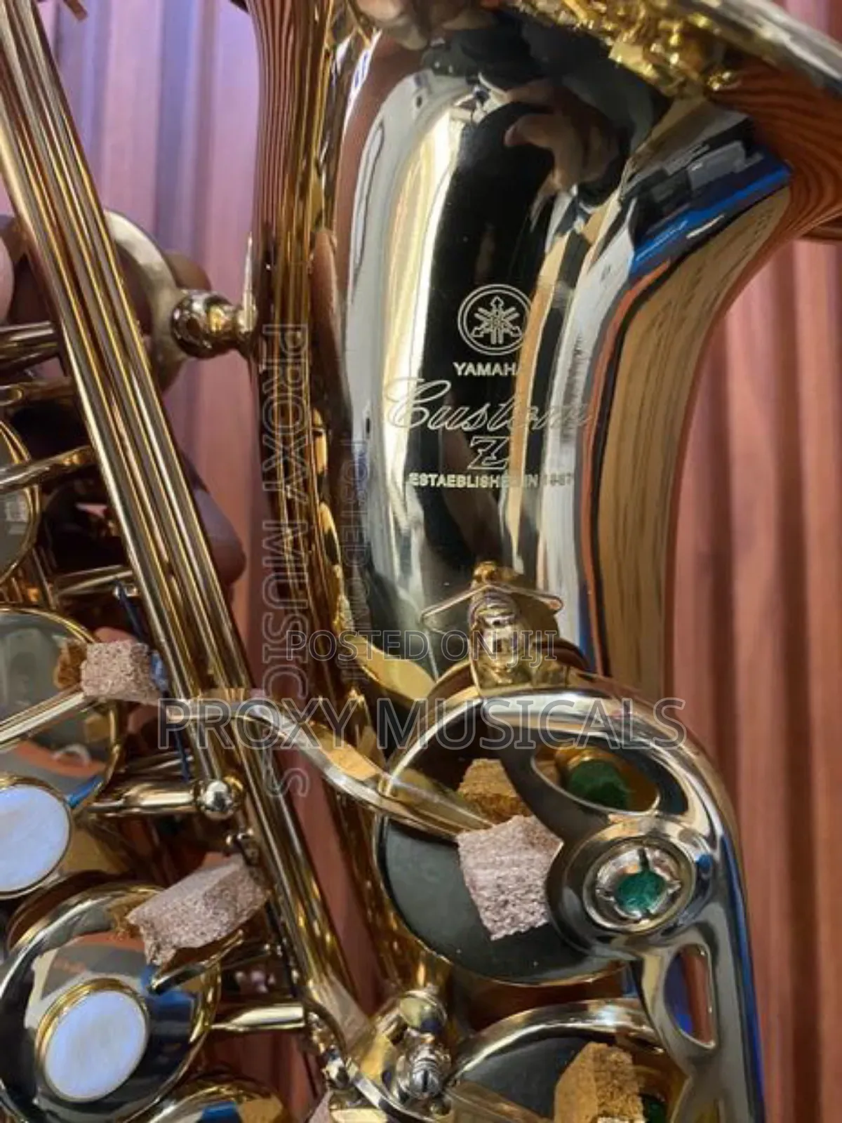 Alto Saxophone Custom Z Golden