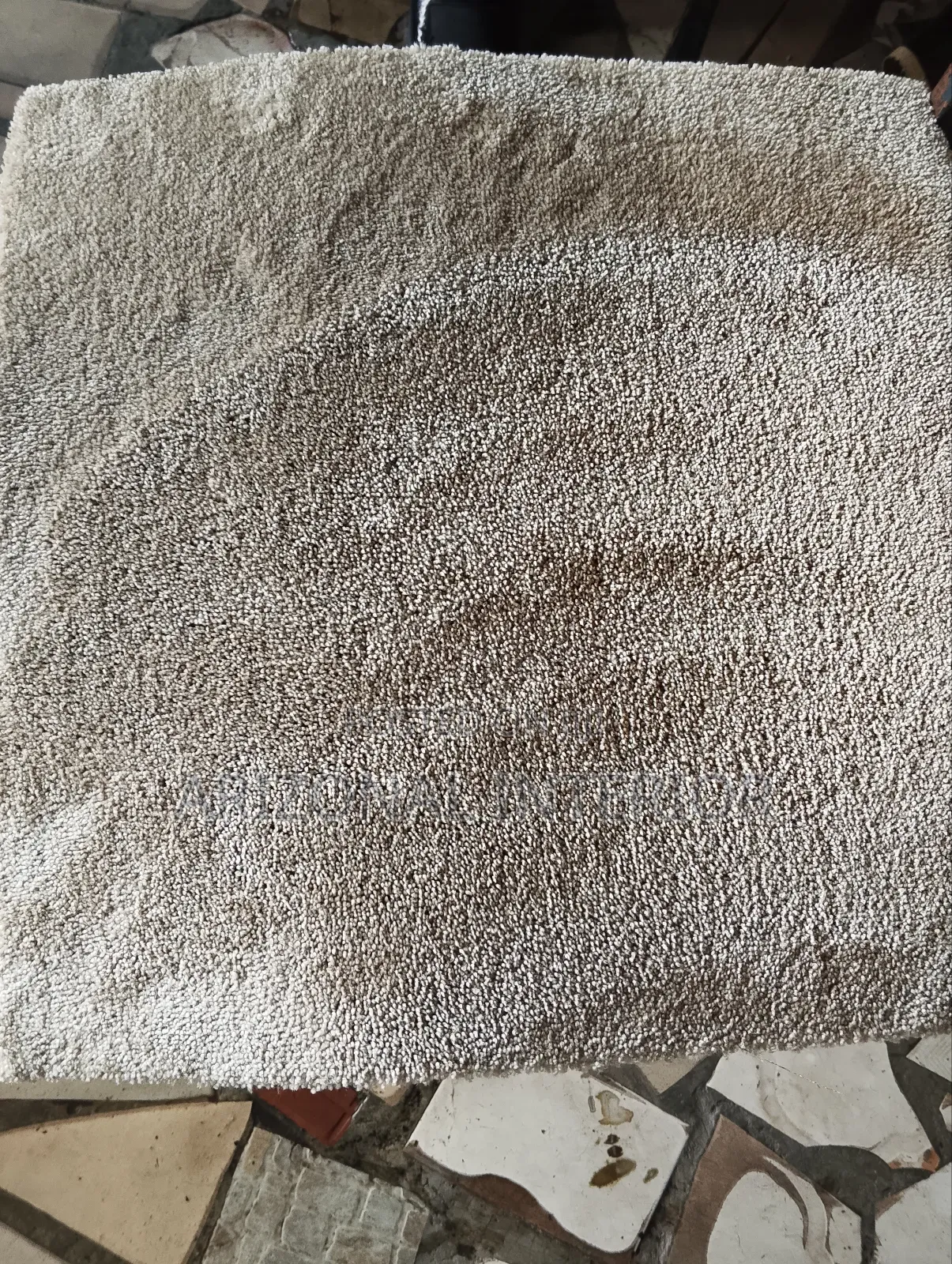 Wall to Wall Rug