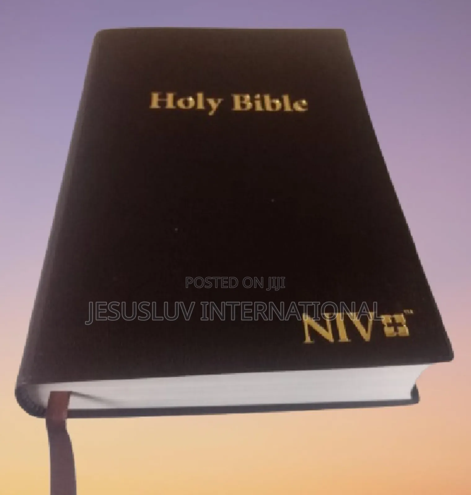 Holy Bible Niv,Thinline Comfort Print Brown Leather-biblica