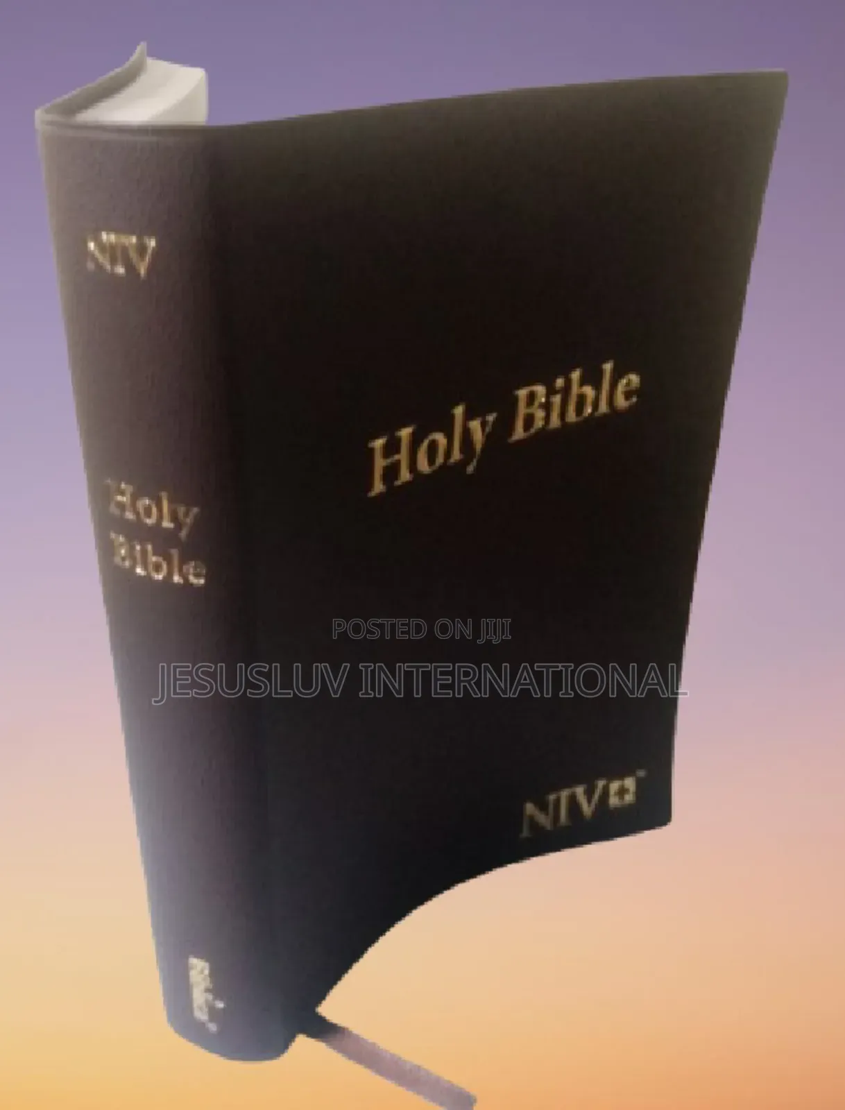 Holy Bible Niv,Thinline Comfort Print Brown Leather-biblica