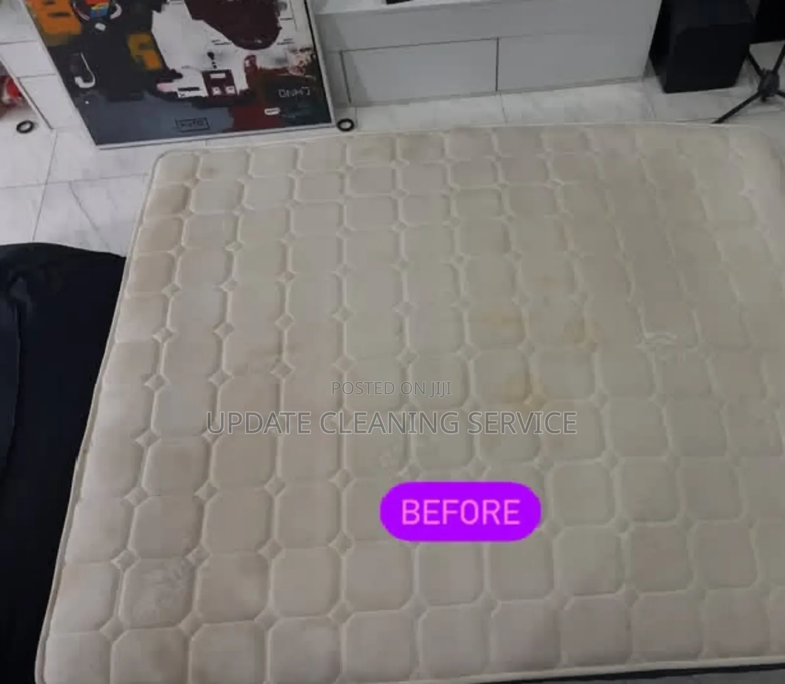 Professional Upholstery Cleaning