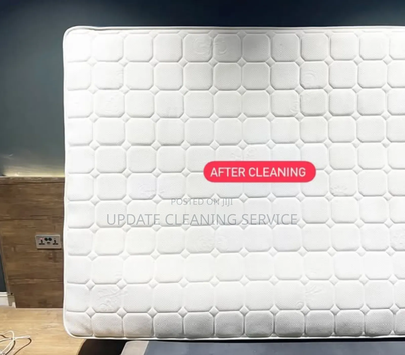 Professional Upholstery Cleaning
