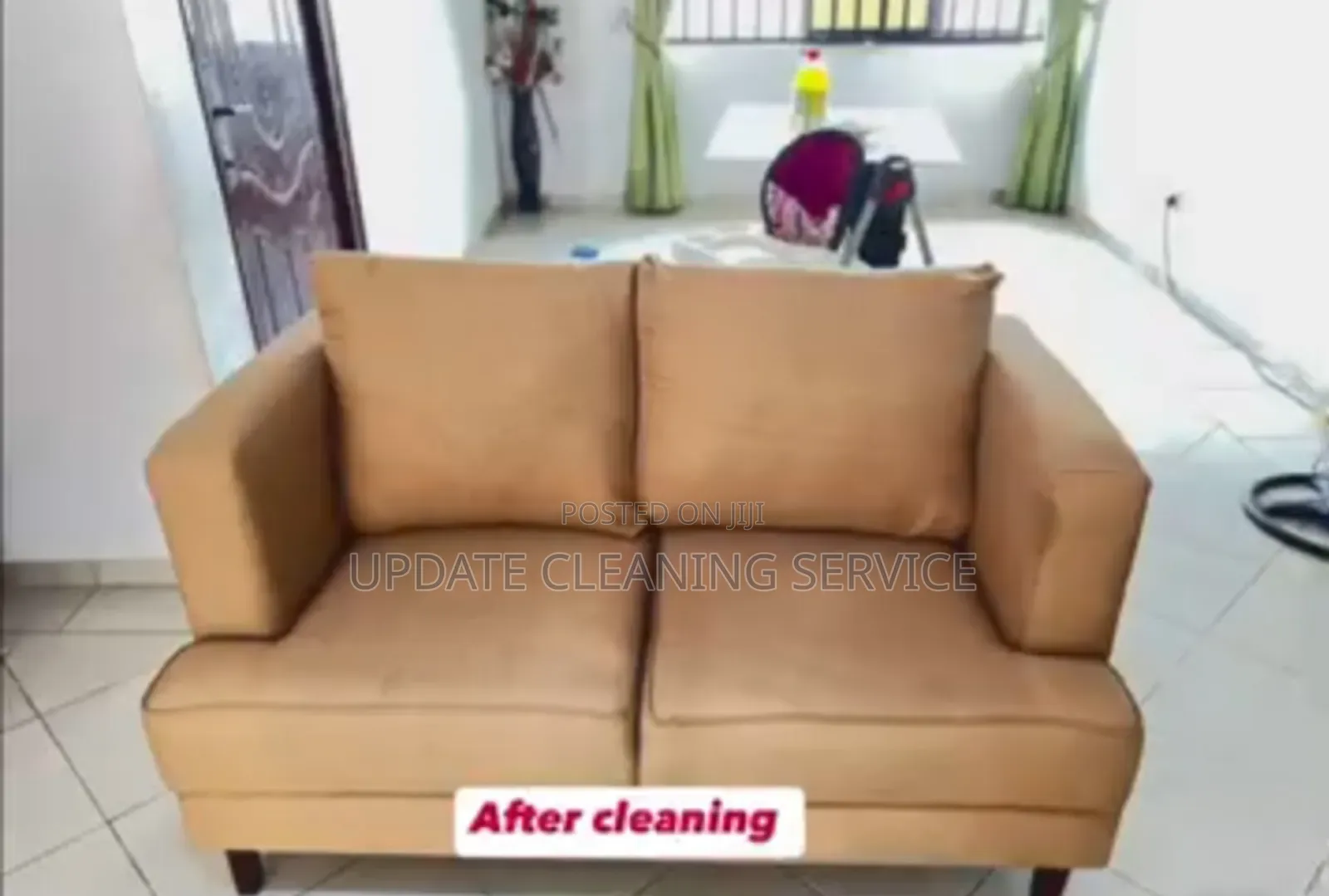 Professional Upholstery Cleaning