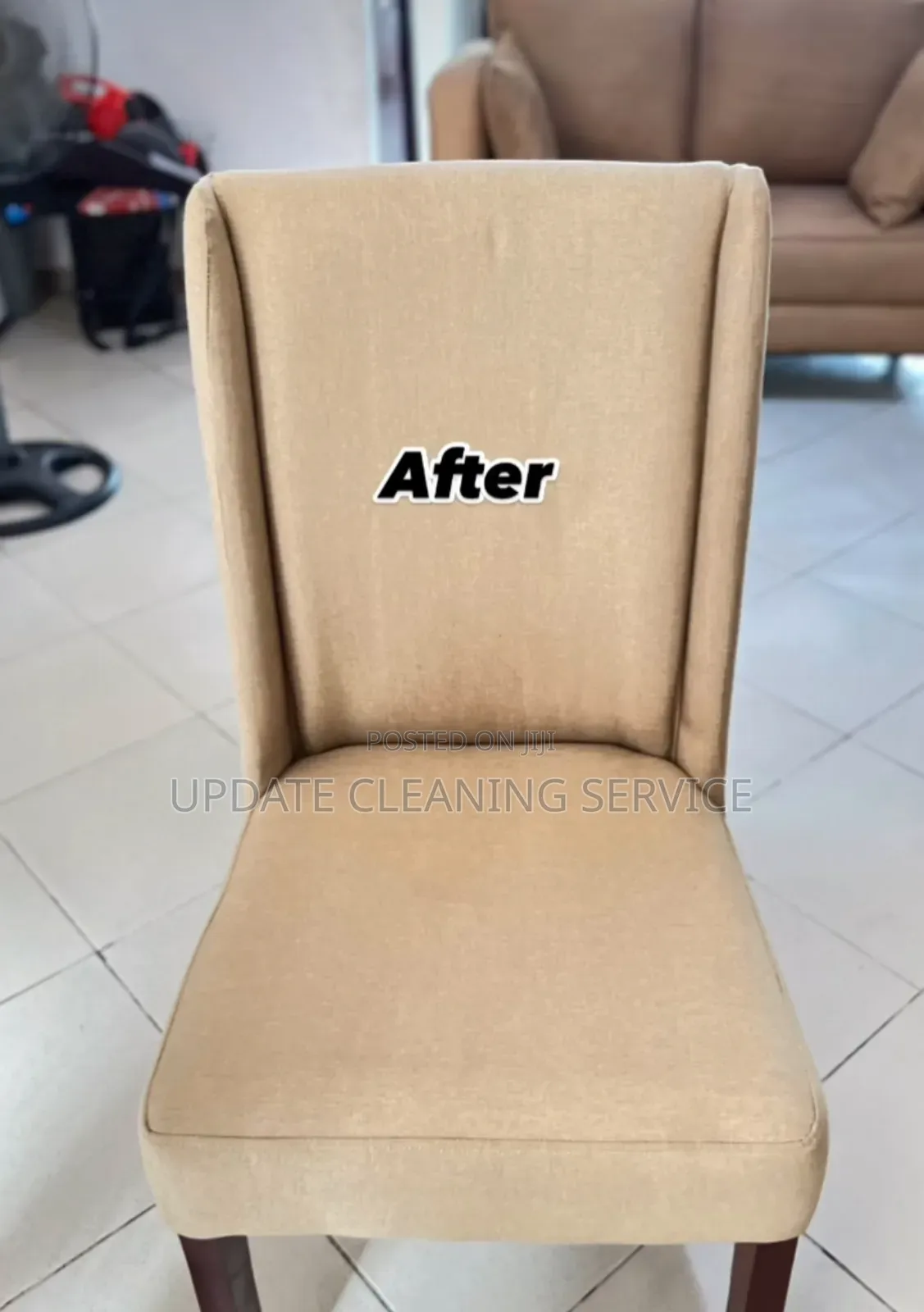 Upholstery Cleaning Services