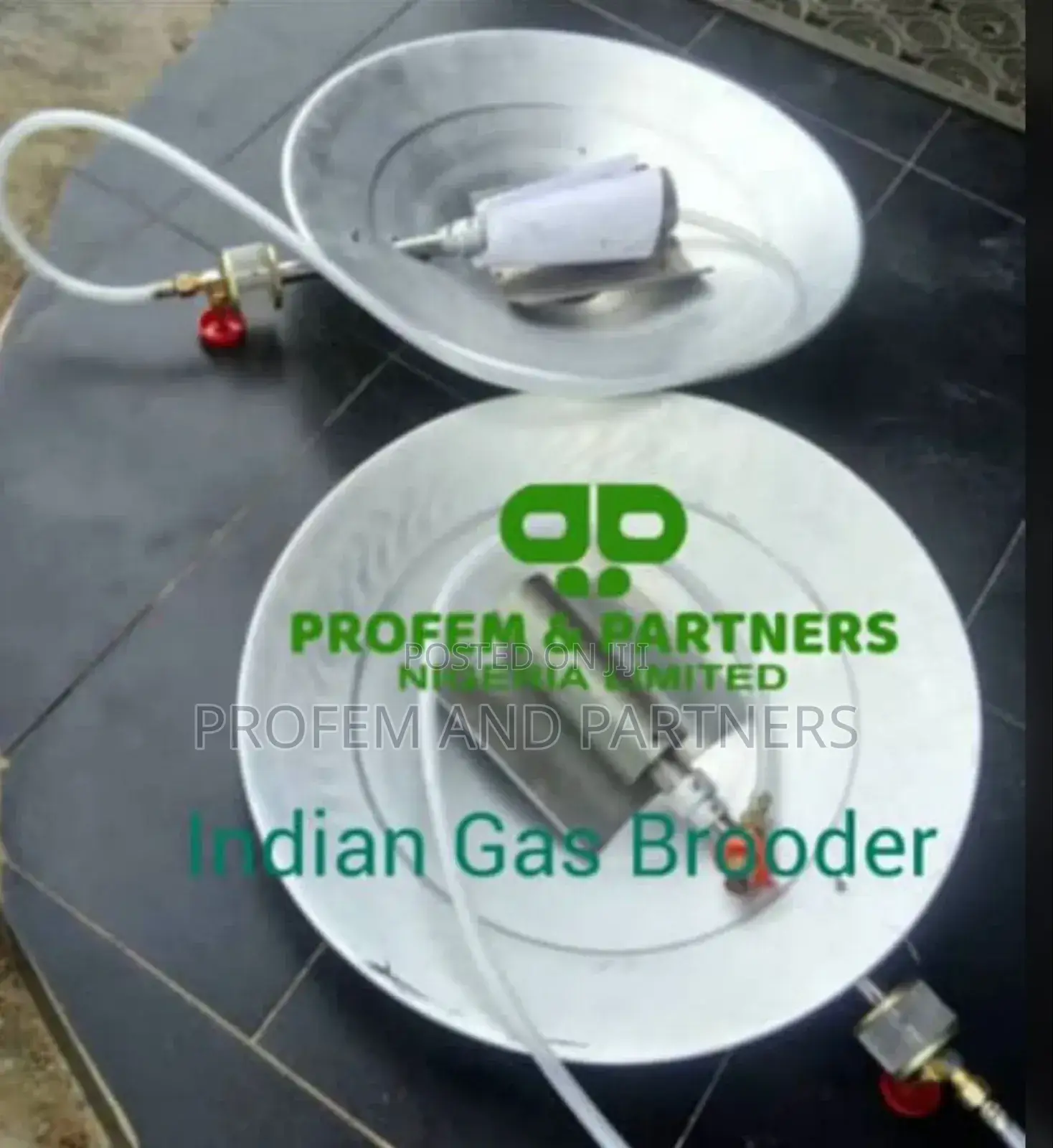 Gas Brooder