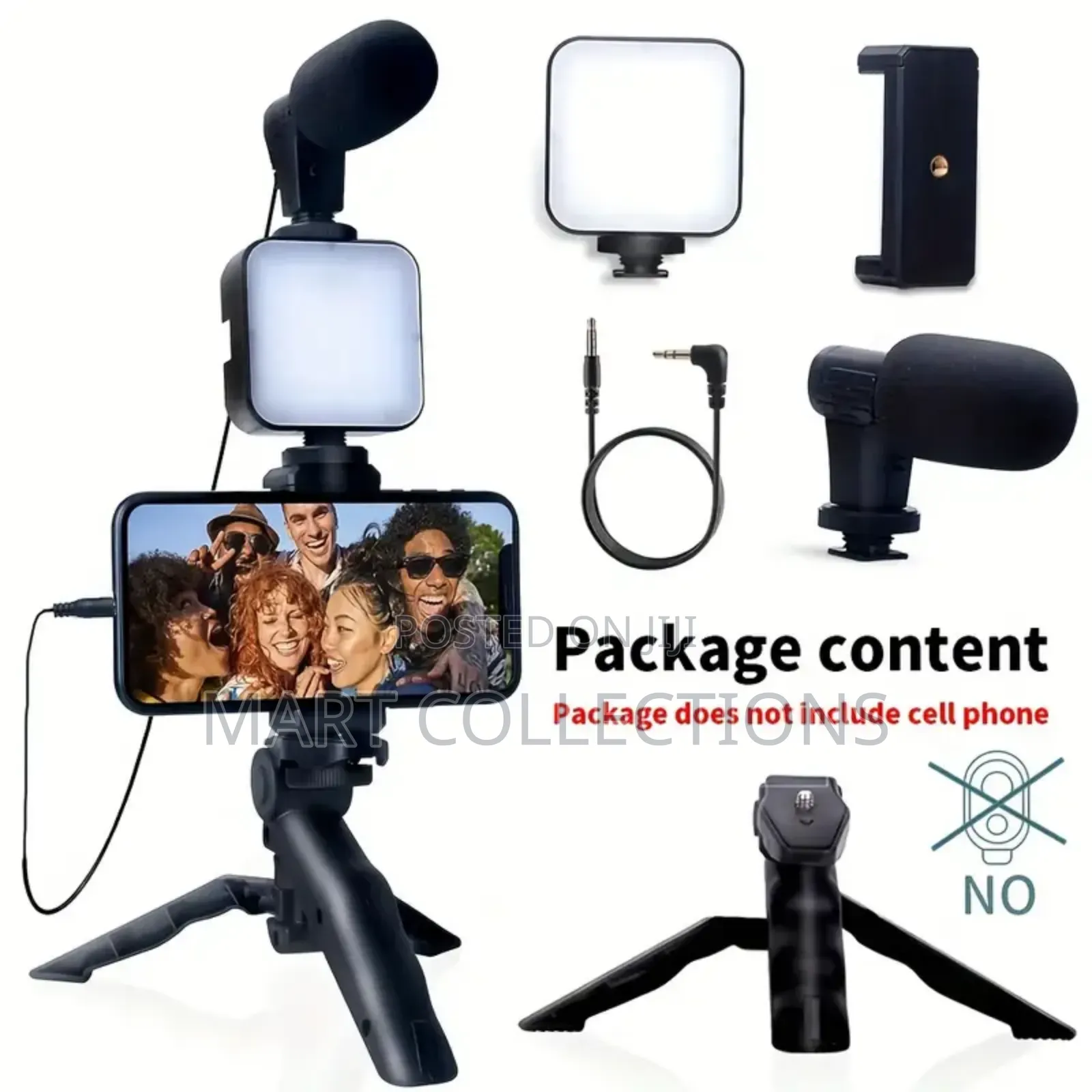 A Portable Video Recording Kit With Light and Microphone