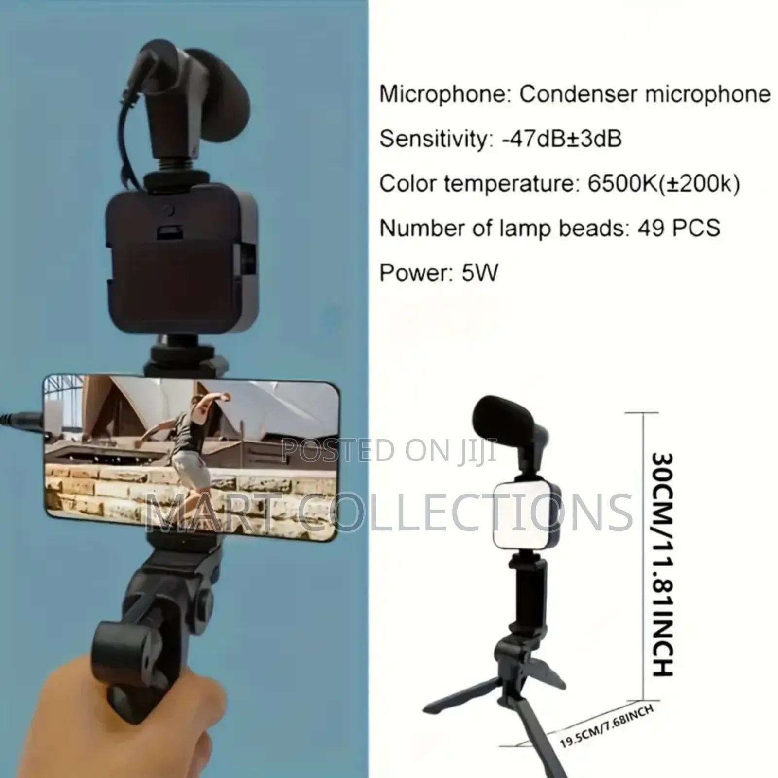 A Portable Video Recording Kit With Light and Microphone