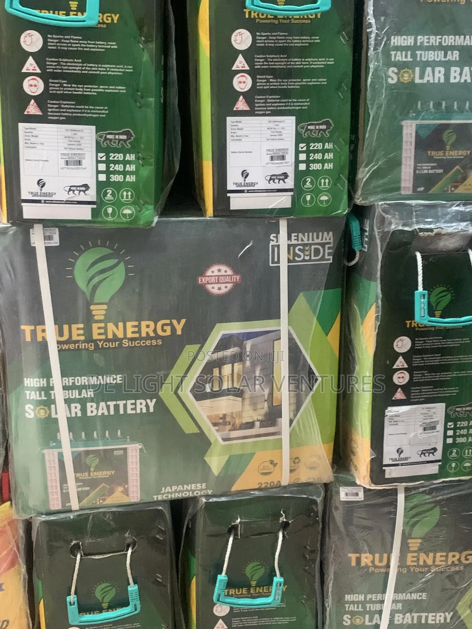 220ah 12volt True Energy Tall Tubular Battery