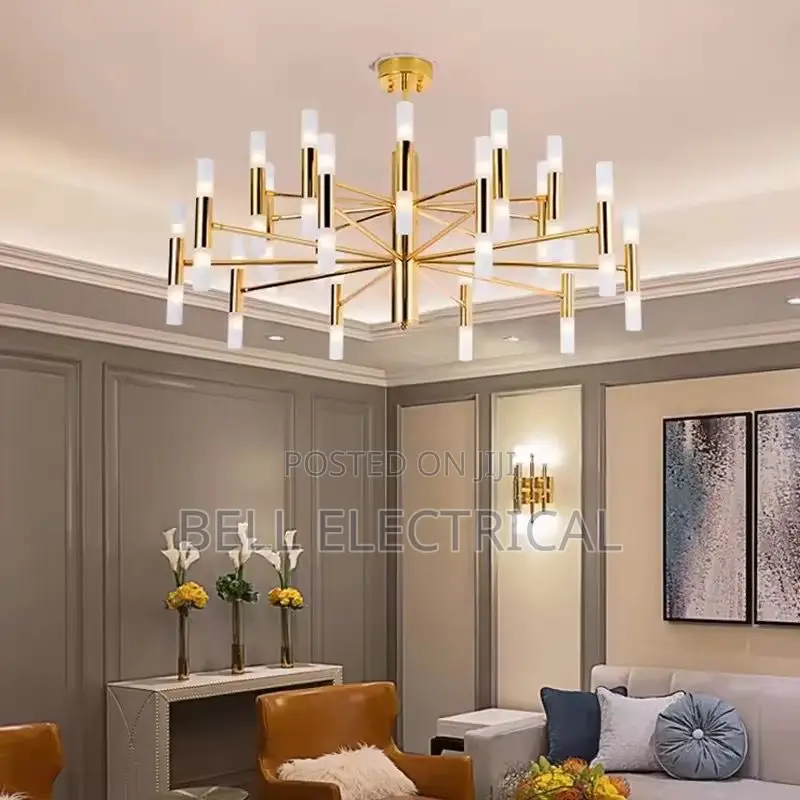 Modern Fashion Designer Black Gold Led Ceiling