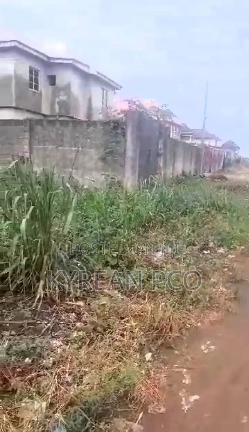 Plot in a Serene Environment