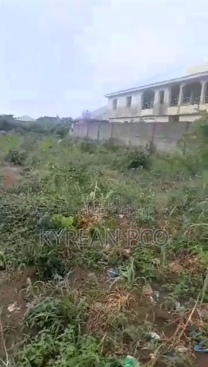 Plot in a Serene Environment