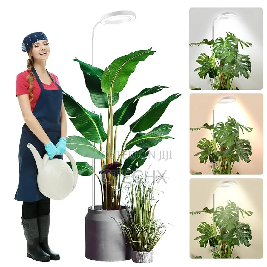 80 Leds Grow Lights for Indoor Plants Full Spectrum, 65 In