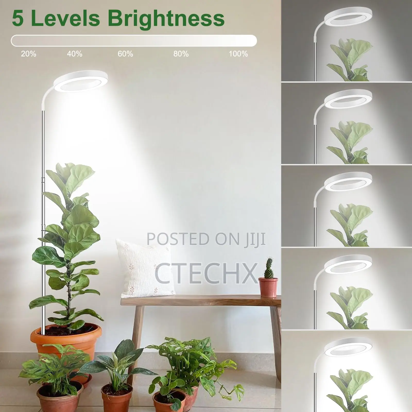 80 Leds Grow Lights for Indoor Plants Full Spectrum, 65 In