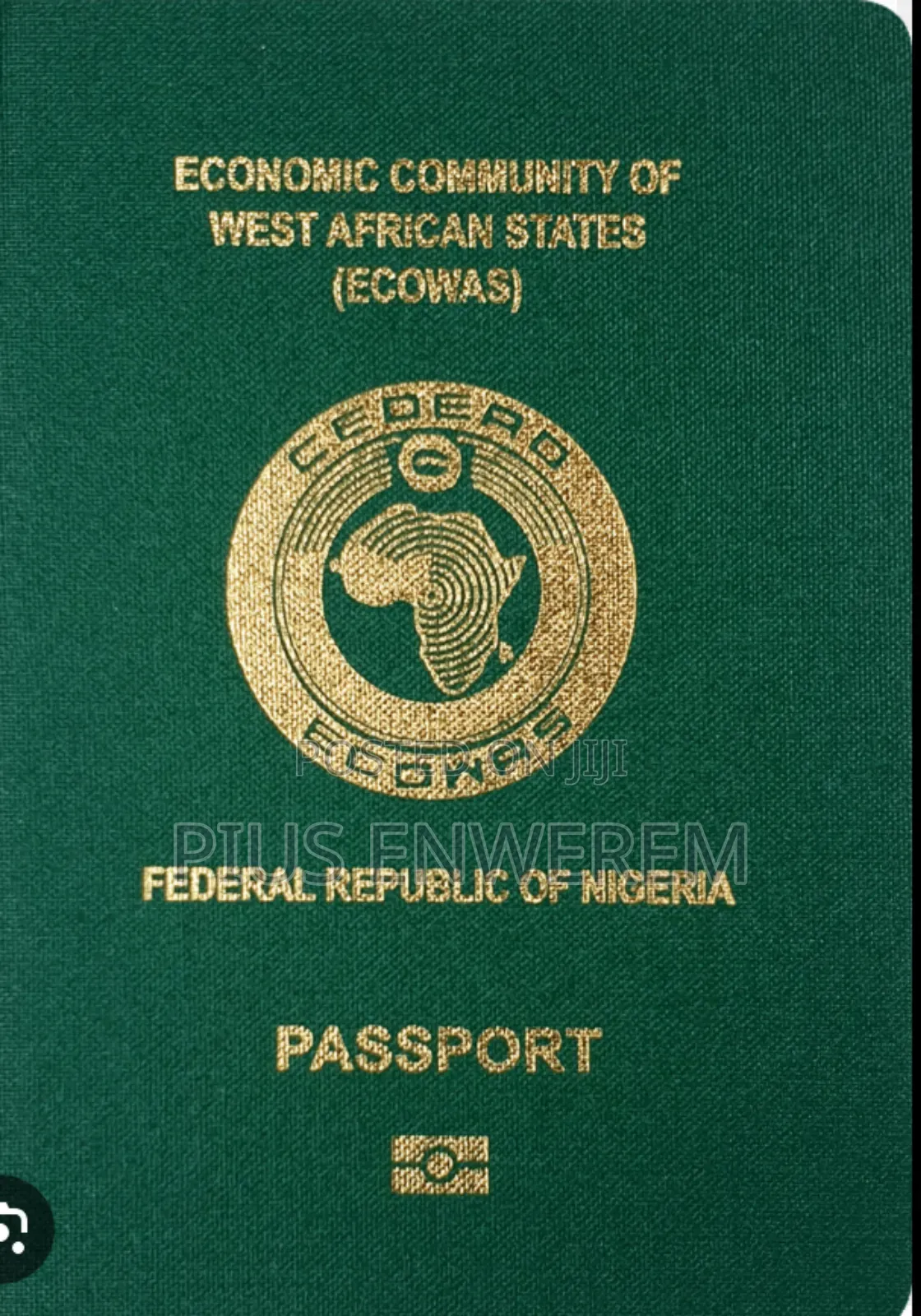 Nigeria International Passport (New & Renewal)