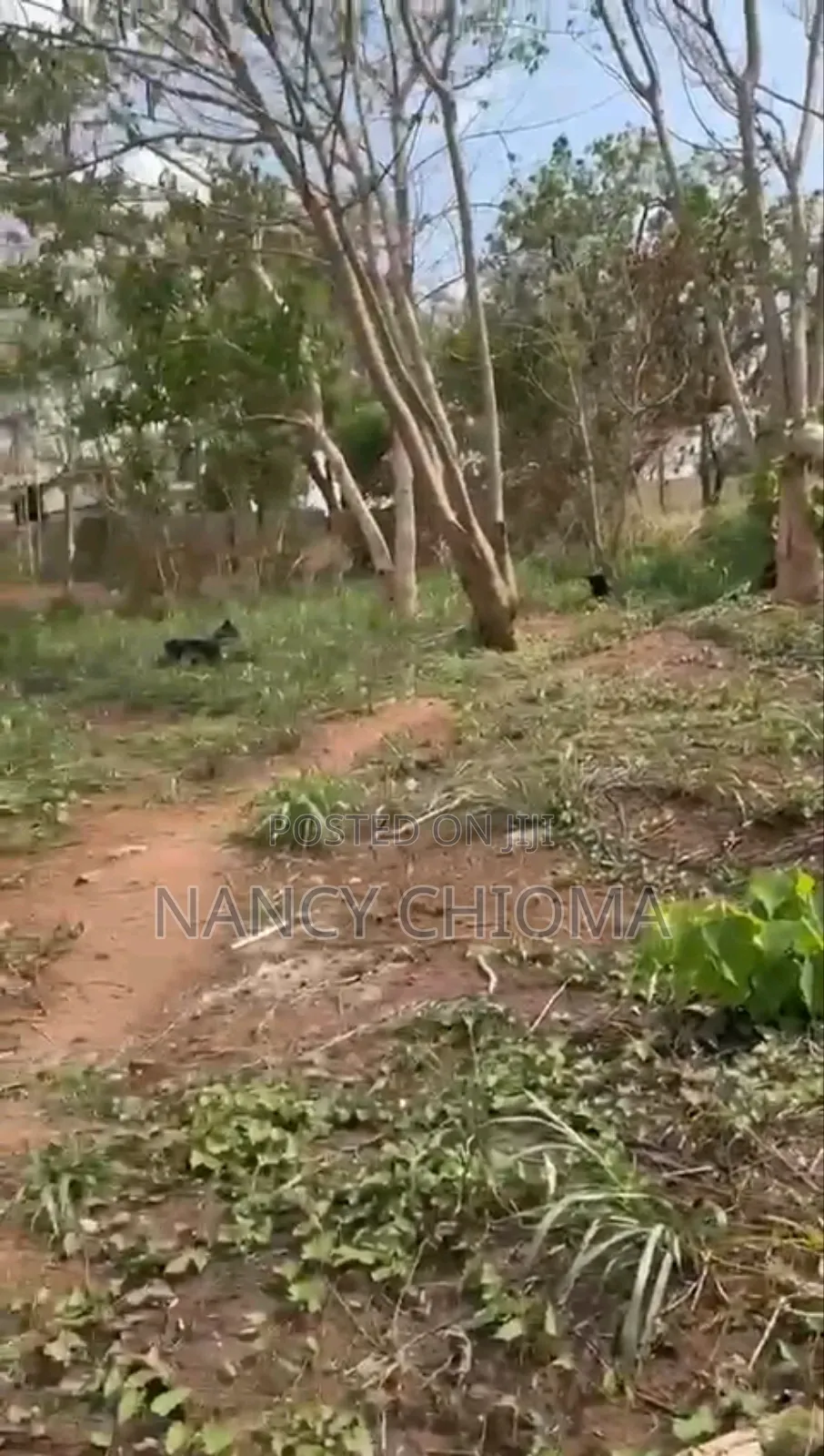 Land for Sale at Park Avenue Gra