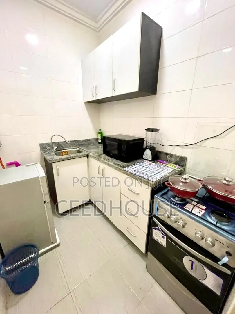 Luxurious and Spacious Studio Apartments