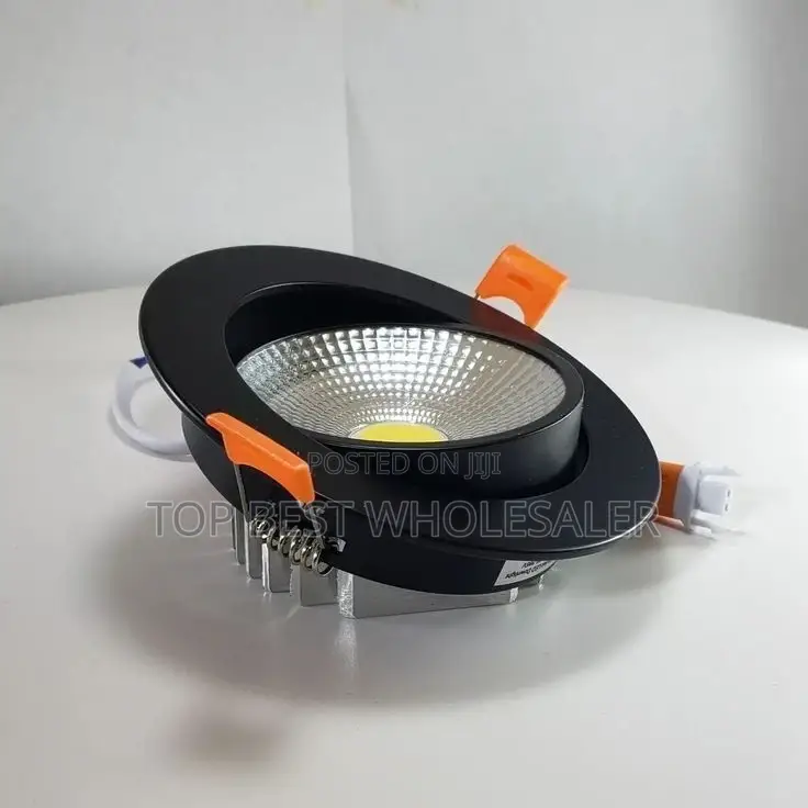 Classic Interiors Cob Spot Light Black Body