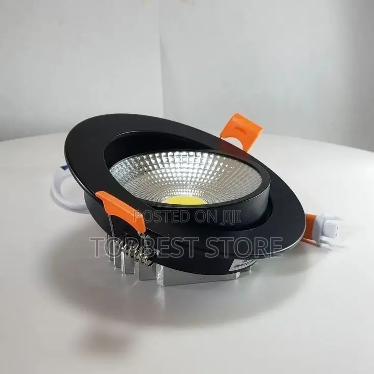 Classic Interiors Cob Spot Light Black Body