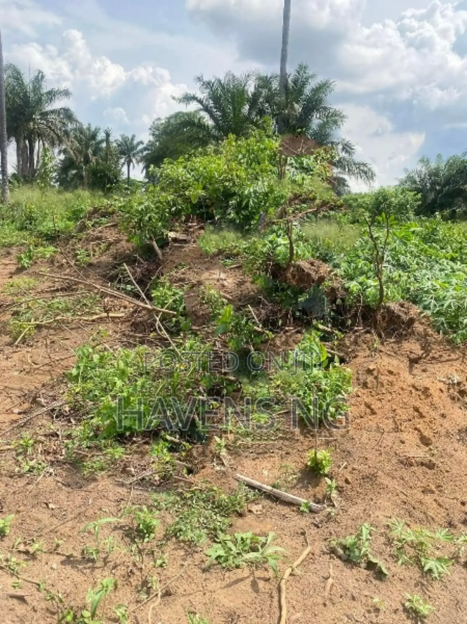 For Sale – Prime Residential Plots