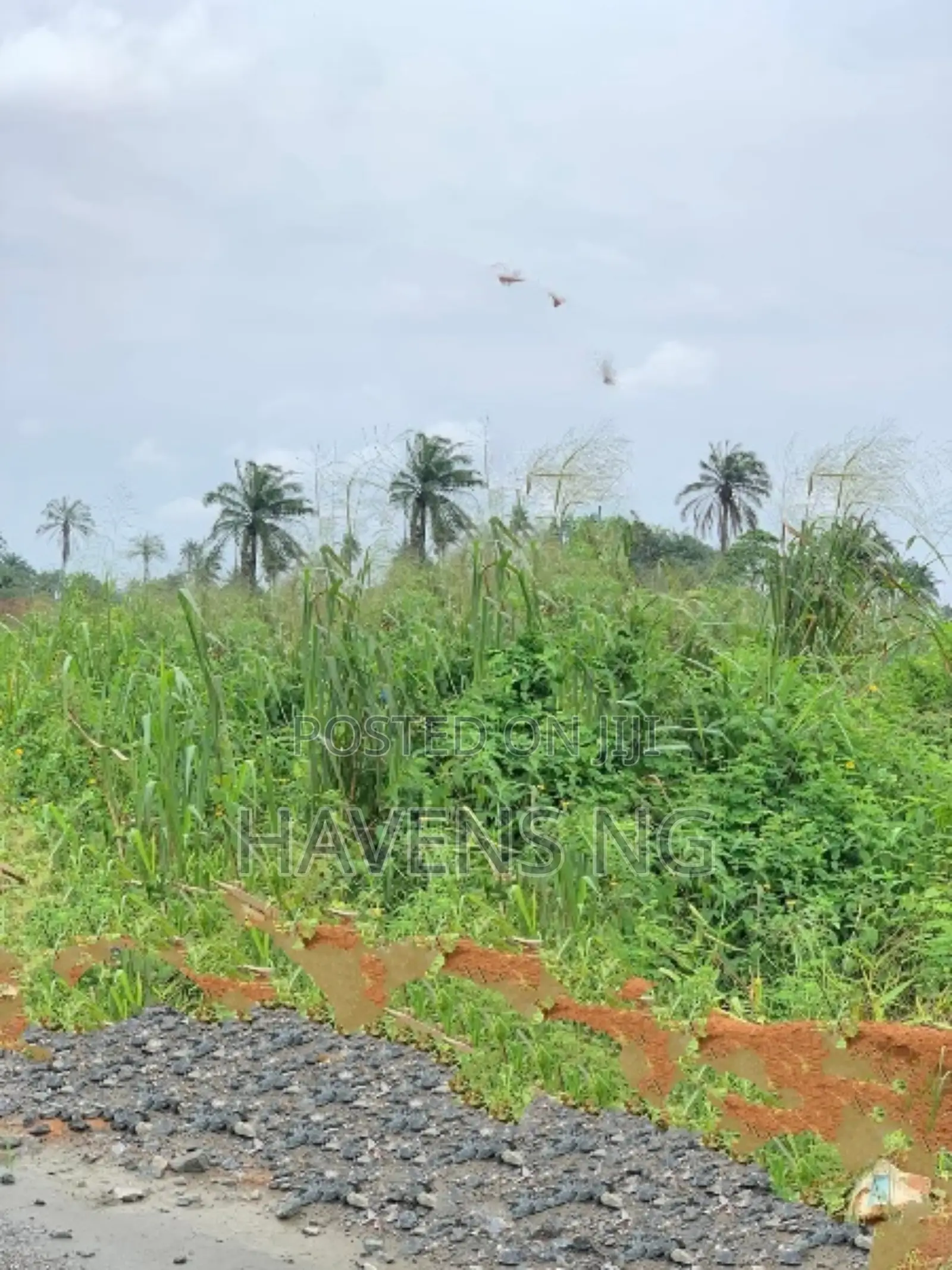 For Sale – Prime Residential Plots