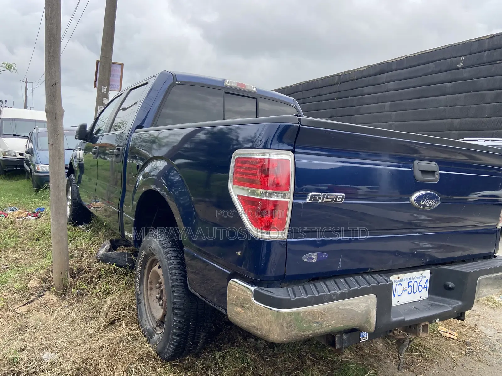 Ford F-150 FX4 2011 Blue