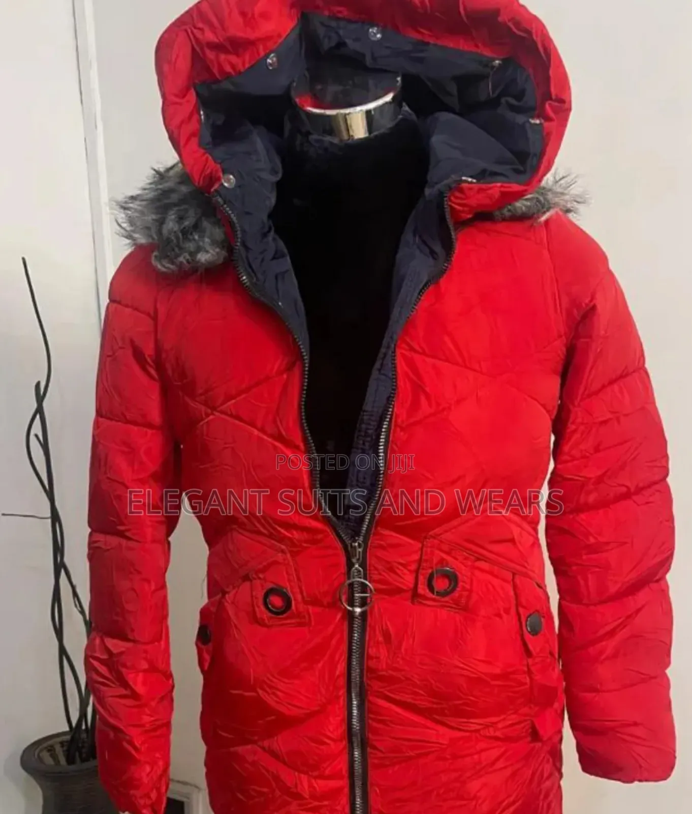 Winter Jacket