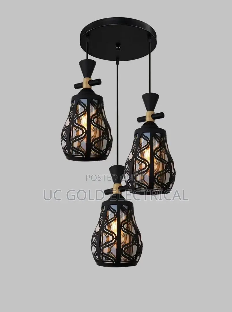 Modern Led Pendant Light Iron Hollow Metal Cage Pendant Lamp