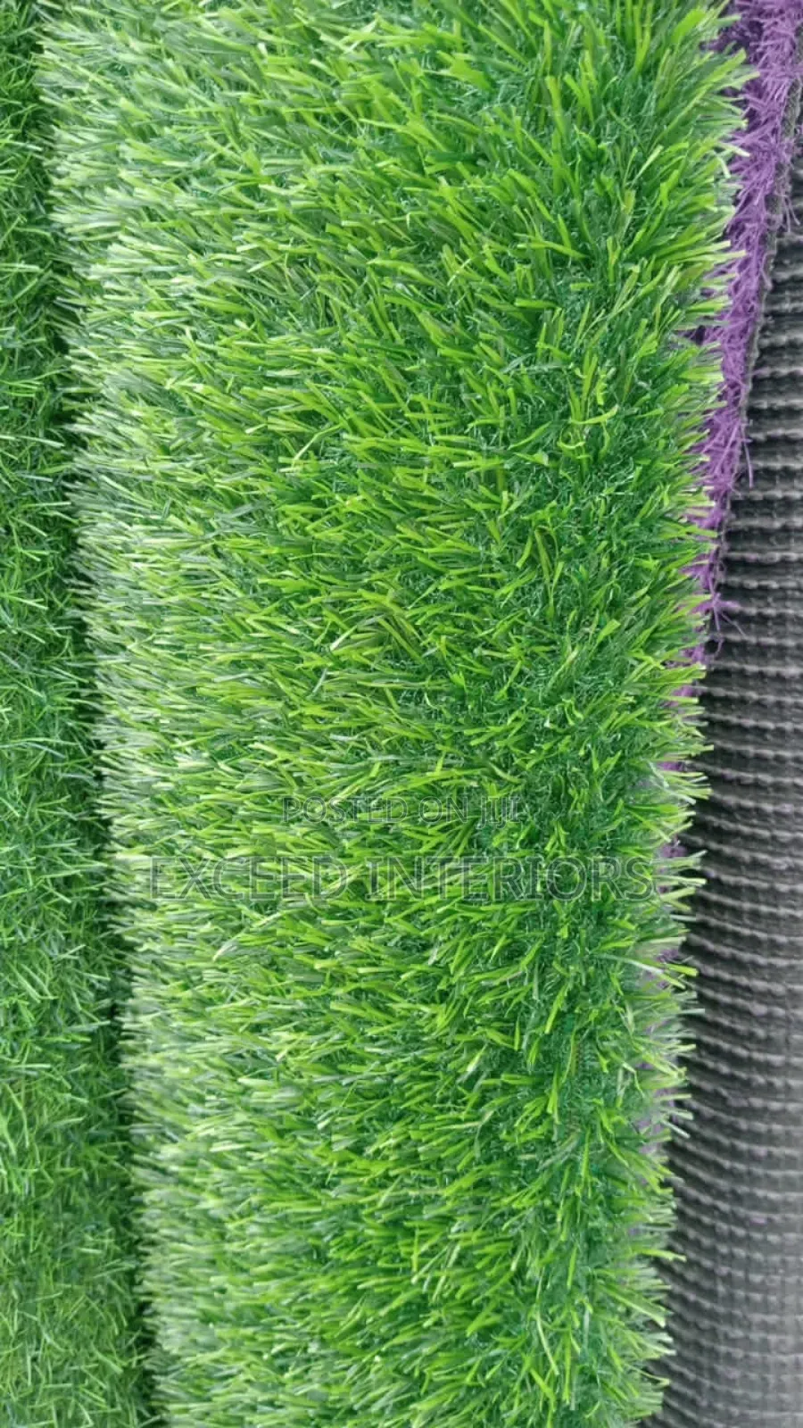 Carpet Grass 30mm