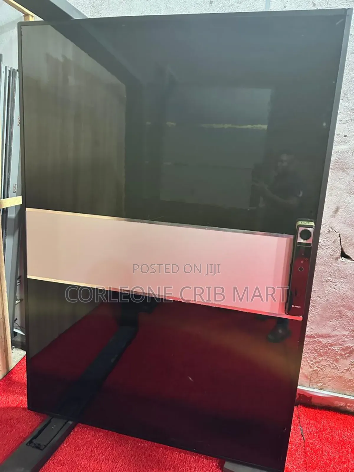 Pivot Swing Door 3