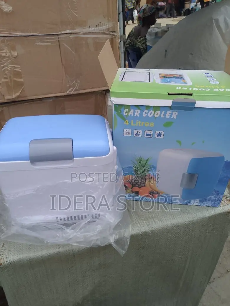 4l Large Capacity Car Refrigerator Food Grade