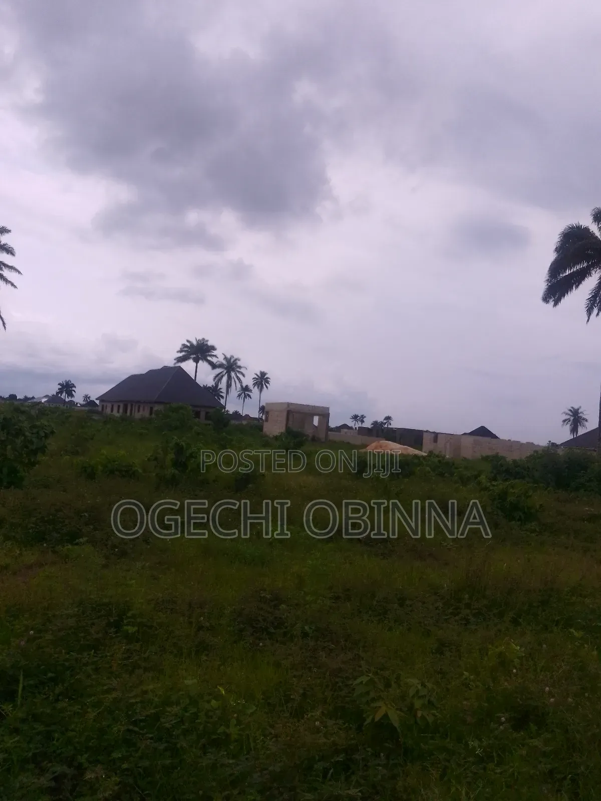 Distress Buy, Build and Pack in Plots at Rumukurushi