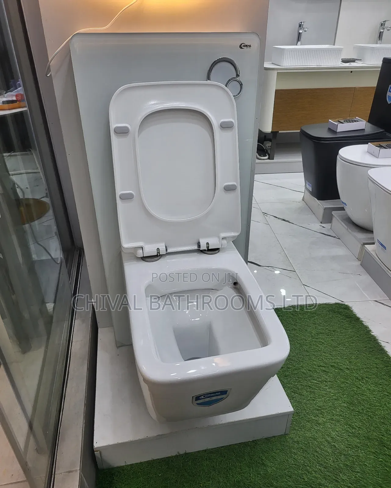 Wall Hung Visible Tank Wc